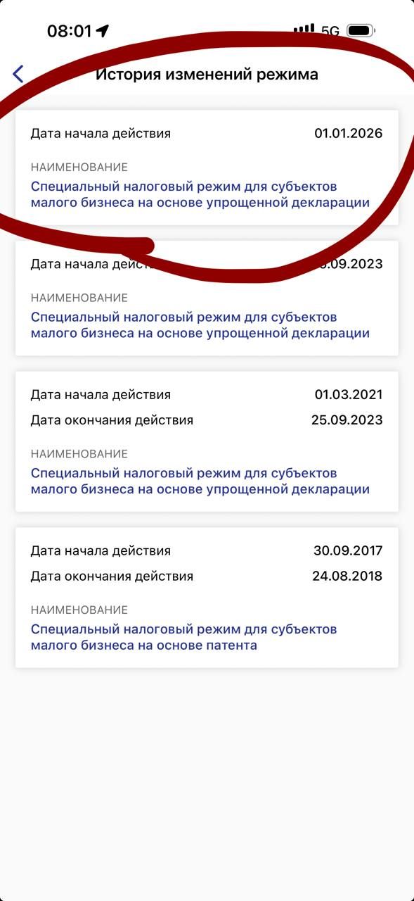 E-Salyq Business — профиль ИП, часть 2